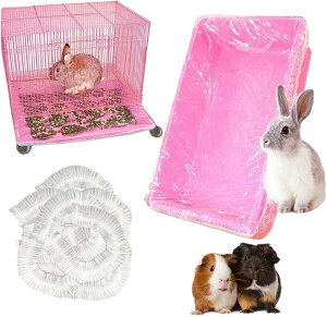  gC 100gCV[g gC| ĝ nX^[ P[Wp gCp