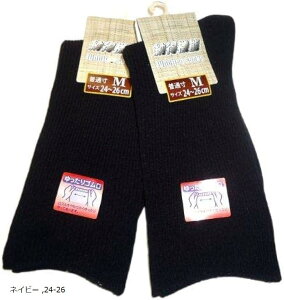 { C Y SȂ C 2g O[ 24-26