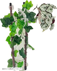 ঒ o } t  VF^[ roE lHA zՕt 3_Zbg }2{{xSjA 3_Zbg(}2{{Xe)