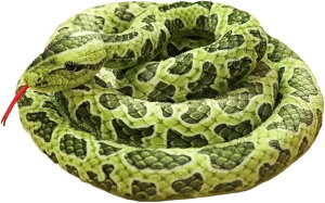 wr 傫 ʂ A ybg  CeAu Mtg 蕨