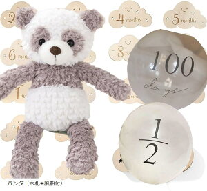 BeZbgt t@[XggC  n[to[Xf[ 100j }Cxr[Xg ʂ 蕨 Mtg oYj  ؎D+Dt  ؎D+Dt p_ ܁i؎D+Dtj