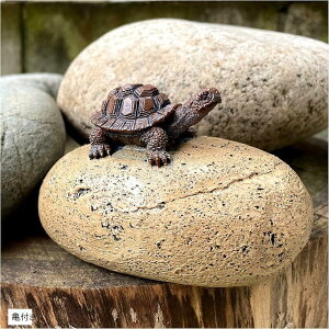 B  Z[teB[{bNX BP[X O L[P[X XyAL[ [ B Tt