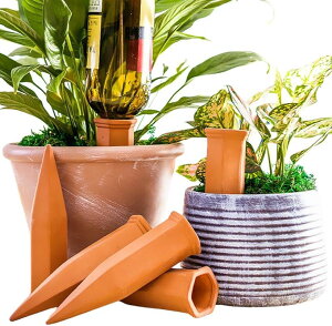  A ybg{gΉ  U@ v^[  6{Zbg