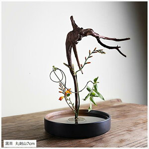 ݊i  Ԋ  20cm R ی^ SO 7cm ؓ  t[AWg  یR7cm EیR7cm