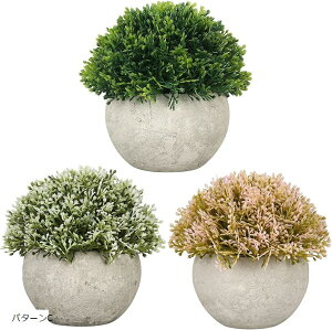 tFCNO[ lHϗtA ~j   CeA xr[eBA[Y 3Zbg p^[B p^[C p^[A