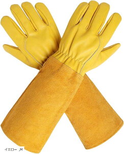 K[fO[u v K[fjO  O U[ ϖ |  e556 CG[ M