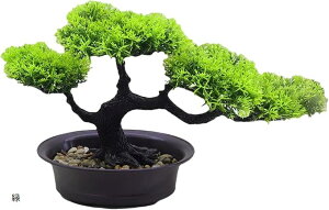 ~j~  hC~  ͂Ȃ tFCNO[  lHA ȒP [