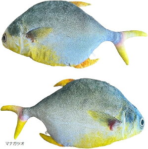 A C̐  BIG  ʂ  O NbV ӂӂ  T[ T} n^ }iKcI }O