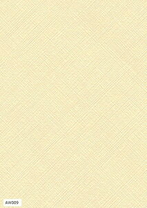 ǎV[   h CNV[g \ ǎ C ͗lւ pr ӂ܎ h hJr PF AW004 AW012 AW009 AW016 AW010 AW007 AW003 AW011