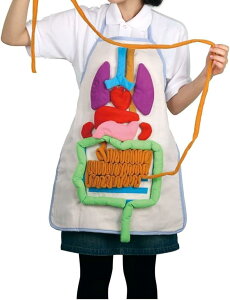 l ͌^ Gv VA^[   Uw wK  w wZ ی  m