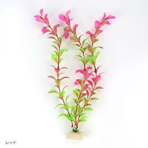 lH Z~bNx[X p ANAE  u[ bh O[