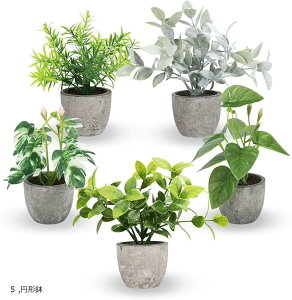 tFCNO[ ϗtA  CeA ~j G} u  fake plant green  sv Mtg 3 ~`