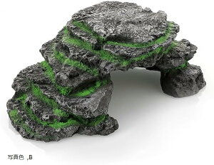 T  VF^[ TCY ঒ P[W A B ʐ^F C