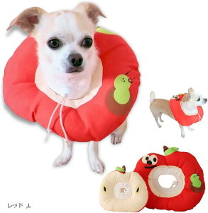 GUxXJ[  L p pPA ~ rߖh~ ybgی h  ɗD _炩 NbV^Cv M L bh S