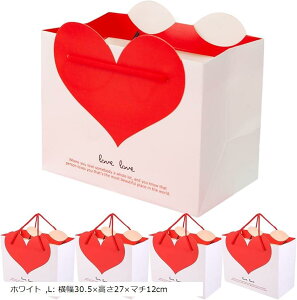   5 킢 n[g ڗ MtgobO bsO v[g 蕨 sN L: zCg M: 22x17x}`10cm