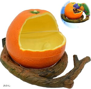  a CR a  P[W   쒹̉a O ݂艺  ~J IW IJCR z[GC 