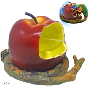  a CR a  P[W   쒹̉a O ݂艺  ~J IW IJCR z[GC  ݂