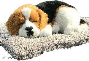 킢A  u ʂ  Q Y L EL  ԓ CeA Mtg v[g G  r[O gCv[h ` L