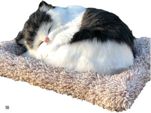 킢A  u ʂ  Q Y L EL  ԓ CeA Mtg v[g G  r[O gCv[h ` L