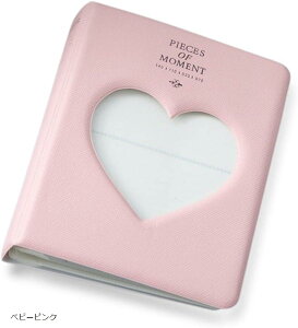 `FL Ao `FL instax mini evo P[X `FLp X[u p[v ׃r[sN u[ ~g