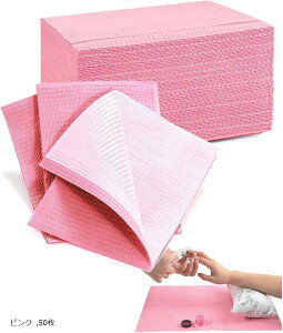 lCy[p[V[g ĝălC}bg WFlC  f^Gv pv ubN 100 sN 50