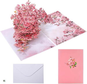  O[fBO J[h bZ[WJ[h яo |bvAbv 3D 莆 j 񂹏 a LO 