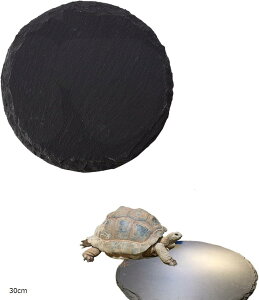 T {[h ঒  nv[g n v ۉ ێ VR  J NK ybgpi }bg 30cm