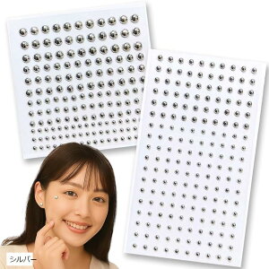 sAX V[ V[sAX \邾 V[sAXpV[   @  O  w\ tFCN \sAX ؍ nn fB[X Y l q No29 S[hn