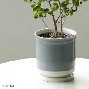 { Aؔ 󂯎Mt 10.5x11.5cm 3.5 g x ^[RCYx x }X^[hx O[x x