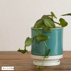 { Aؔ 󂯎Mt 10.5x11.5cm 3.5 g x ^[RCYx x }X^[hx O[x x