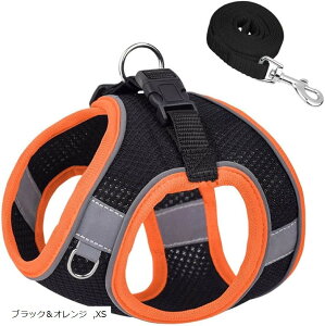  n[lX [hZbg ^ ^ Lp ʋCbV Ȃ y EȒP h~ ˕t  Up 킢  _[Nu[`FbN S