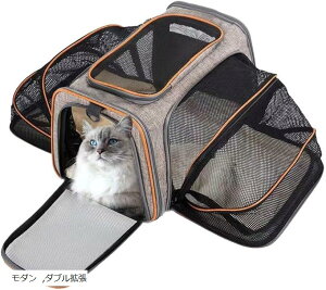 �g�� �y�b�g �L�����[ �Q�[�W �L���� �L �� �܂肽���� �y�� ���b�V�� �ʋC �􂦂� �}�b�g �_�u���g�� �l�p�g�� ���_�� �V���O���g��