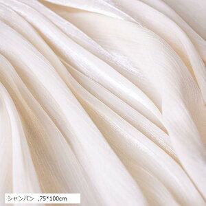 wiz Bep p[  iBe ʐ^ ϕi WG[   VA[zCg 75x100cm