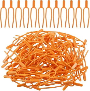 |p vgNbv 100Zbg AŒp C`S g}g UNbv