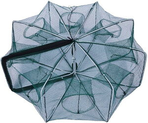 Jj Jj ܂肽ݎ ߂ 8 22cm ߊl Ԃ ɐGr d|  ߊllbg RpNg