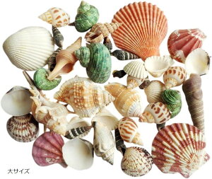 Lk ~bNXZbg _ 450g nhCh H DIY ANAE } fR Ntg p[c TCY TCY TCY