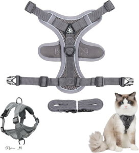 L Up n[lX 锽 [h y  ʋCbV  Lp U S uE Cgu[ O[ M