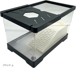 T  P[X P[W  Wt AN ubN M