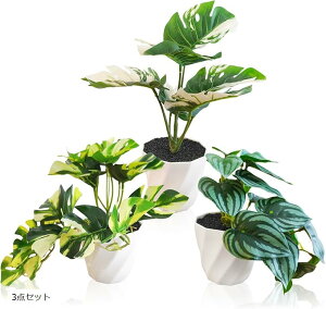 ϗtA tFCN  CeA tFCNO[  A XCJyyjA XeEoGK[^ 3_Zbg XeEzCg^CK[