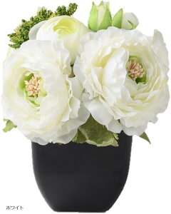 sIj[AW|bg sNMtg v[g  u^ ̂܂܏ CeA Vv  wj Əj zj V sN