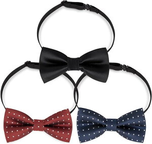 qp lN^C LbY WjAp 3ރZbg ԕ f p[eB[ w  Y fB[X