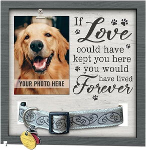 d z ʐ^  ؐ At[ CeA{ 1