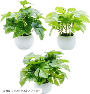 ϗtA G} ~j A 3 Zbg L  R tFCNO[  lHϗtA  CeA G    Mtg G} Xe |gX ACr[