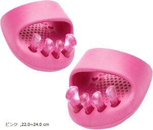 ŋr pVLb K Ȃ琮Xbp c{ _CGbg sN ubN O[ 22.0`24.0 cm