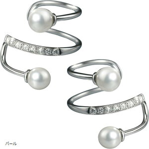 C[Jt fB[X Vo[925 WRjA mz[ AM[Ή NX^Cv