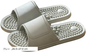  Xbp ~ T_ 􂦂 jp R hL K x_ V[ ʋC [ jZbNX C gC c{  sN 23.5`24.0 cm