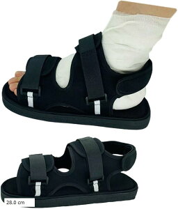 MvXpT_  ܂֗̕ACe Б Ep nr V[Y 25.0 cm 28.0 cm 29.0 22.0 cm