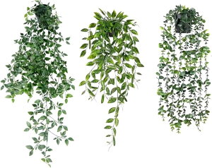 tFCNO[ ݂艺 ϗtA Ǌ|   CeA