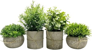 tFCNO[ ϗtA   CeA G} Aؔ kG 4_Zbg