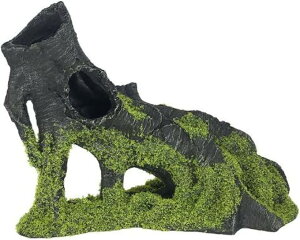 V   ANAE IuWF ̉B   ؂̍  I[ig